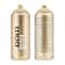 Montana™ Gold Acrylic Professional Spray Paint